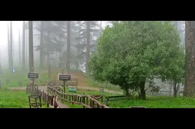 Dhanaulti Travel Guide