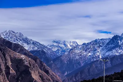 Auli