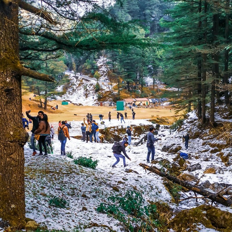 photo-1588508149880-3ee043ff1648